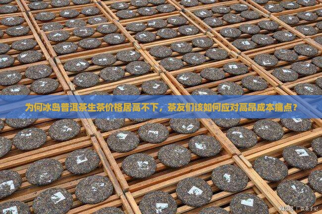 冰岛普洱茶生茶价格