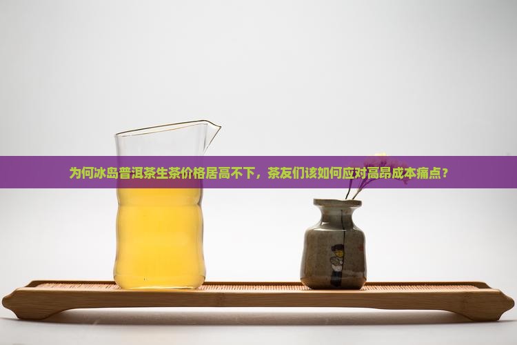冰岛普洱茶生茶价格