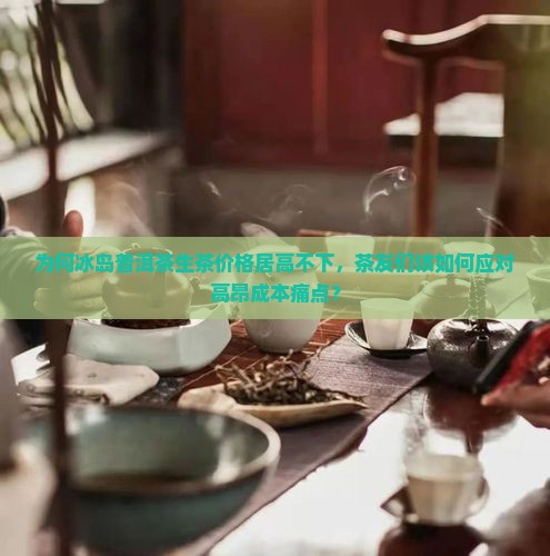 冰岛普洱茶生茶价格