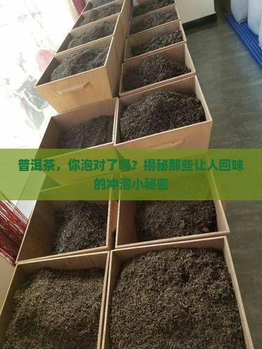 泡普洱茶的描述语