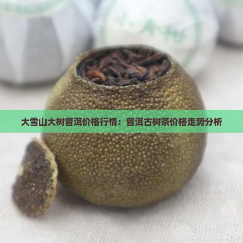 大雪山古树普洱茶价格行情