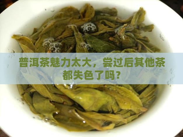 喝普洱茶后不想喝其他茶了