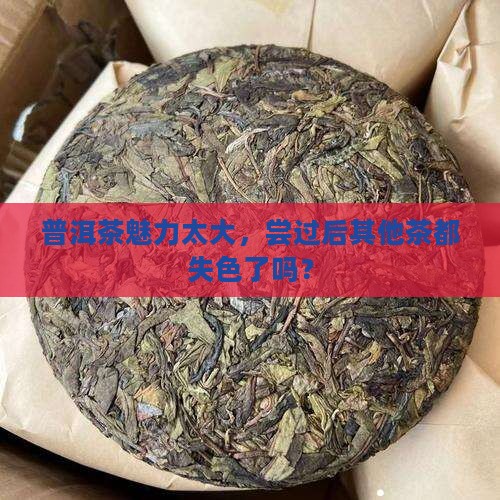 喝普洱茶后不想喝其他茶了