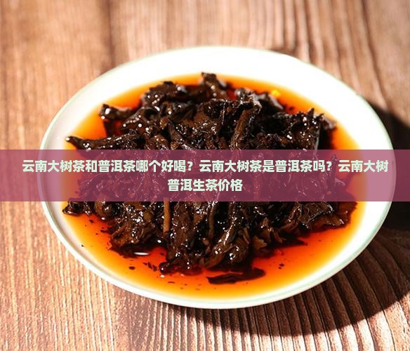 云南大树茶和普洱茶哪个好