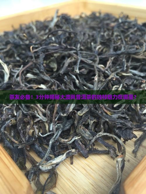大渡岗普洱茶的特点