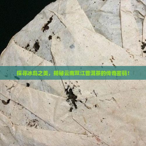 冰岛普洱茶云南双江