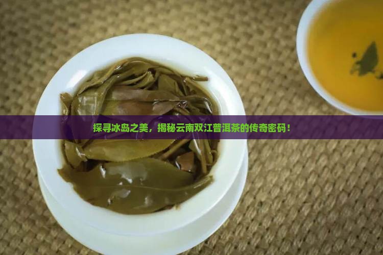 冰岛普洱茶云南双江