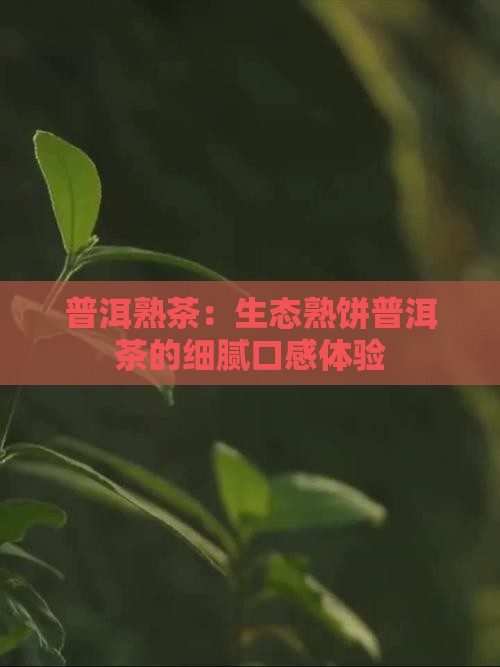 生态熟饼普洱茶的口感