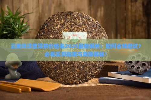 云南鸿洋普洱茶价格表查询