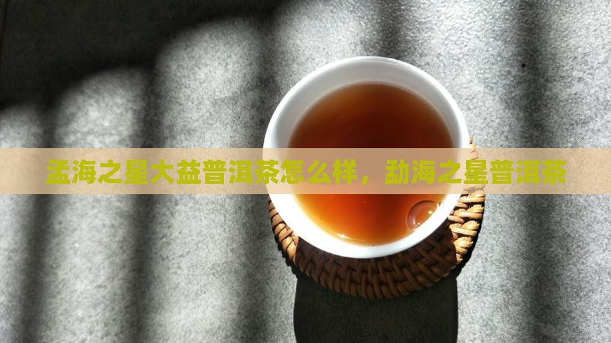 孟海之星大益普洱茶