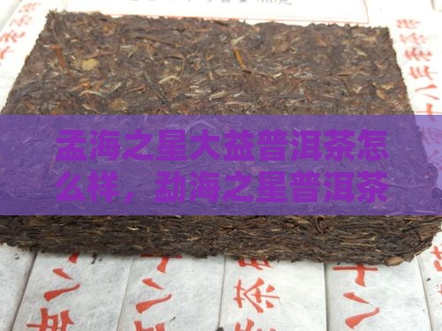 孟海之星大益普洱茶