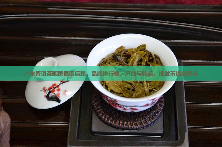 广东普洱茶哪家值得信赖