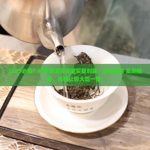 哪里的柠檬普洱茶比较好