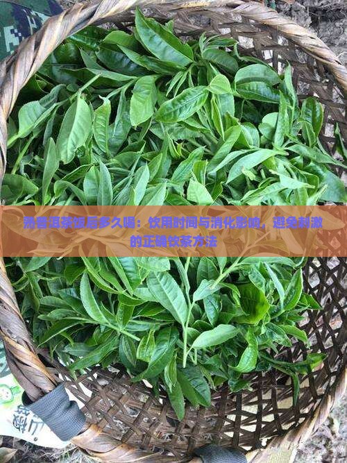 熟普洱茶饭后多久喝