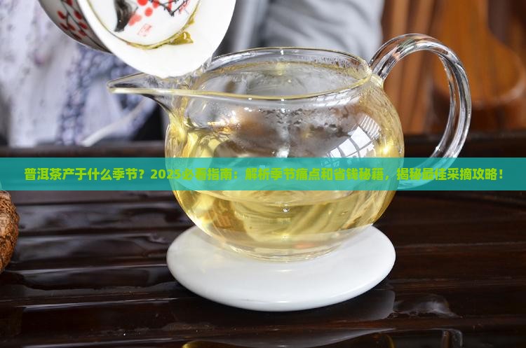 普洱茶产于什么季节