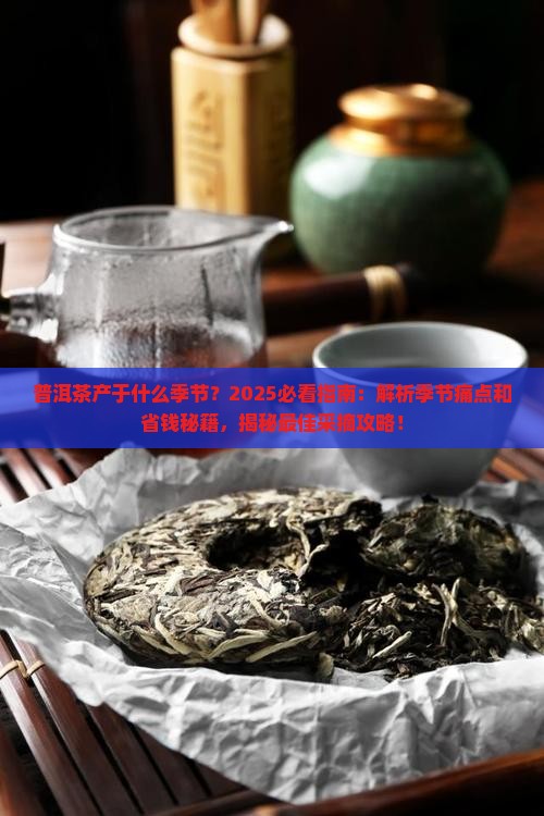 普洱茶产于什么季节