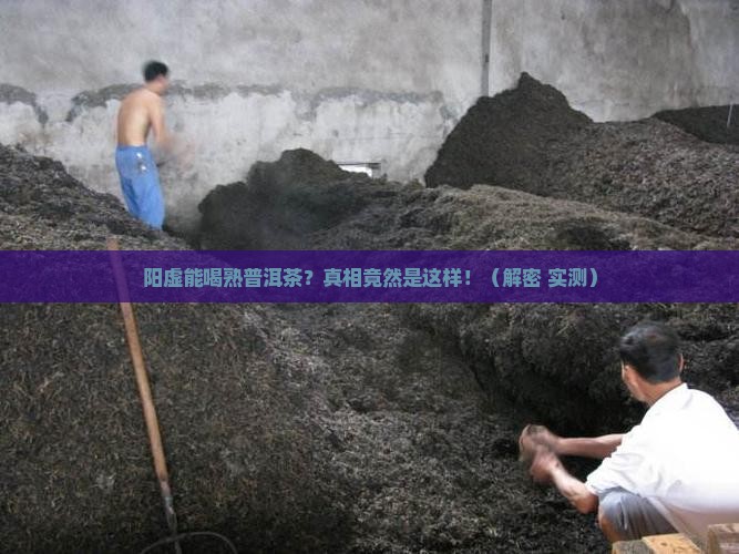 阳虚能喝熟普洱茶