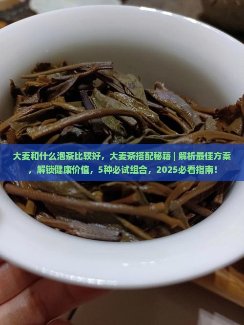 大麦和什么泡茶比较好