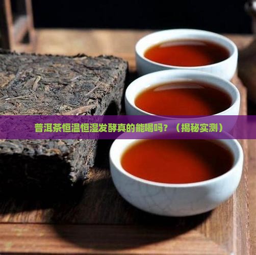普洱茶恒温恒湿发酵可以喝吗