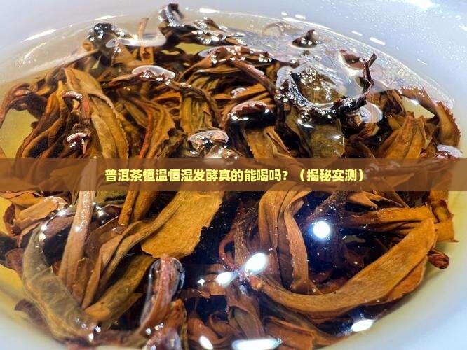 普洱茶恒温恒湿发酵可以喝吗