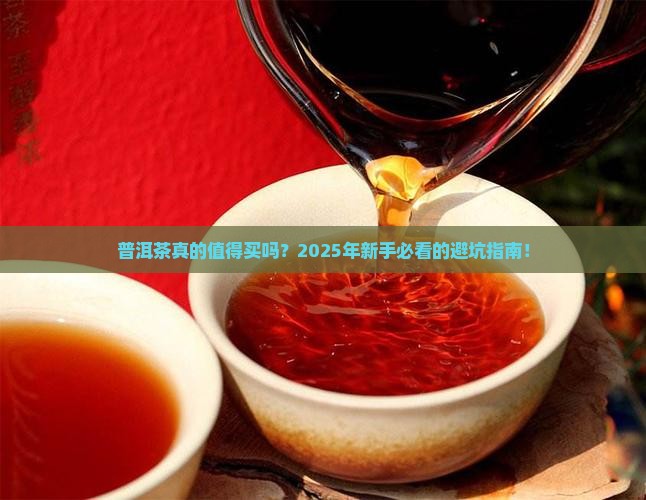普洱茶热点知识