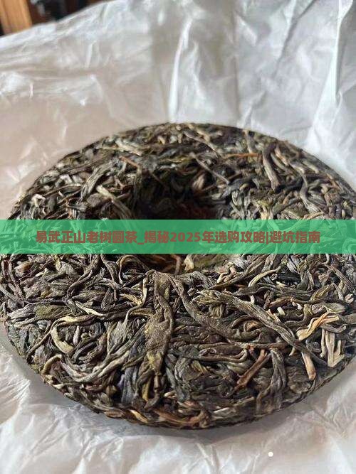 易武正山老树圆茶