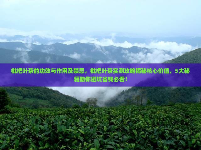 枇杷叶茶的功效与作用及禁忌 枇杷叶茶的功效与作用及禁忌