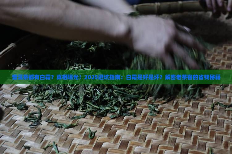 普洱茶都有白霜