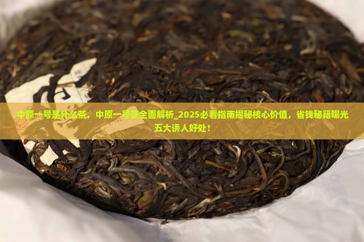 中原一号是什么茶