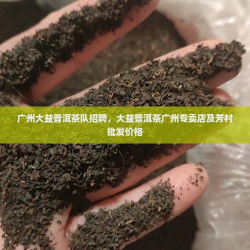 广州大益普洱茶队