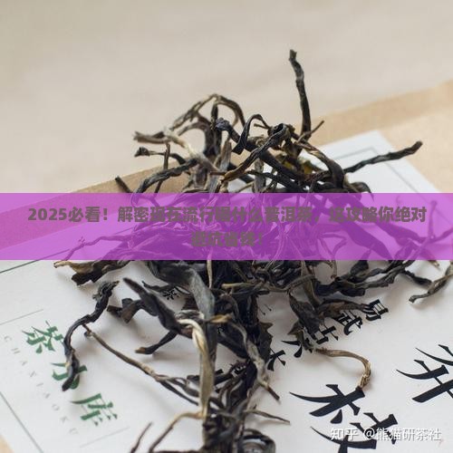 现在流行喝什么普洱茶