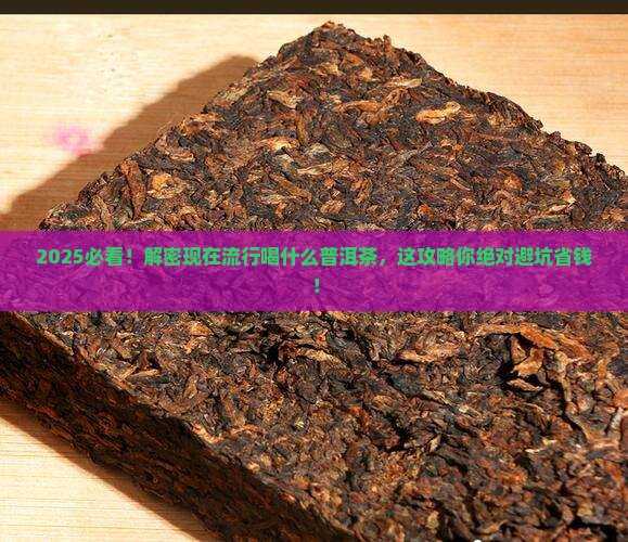 现在流行喝什么普洱茶
