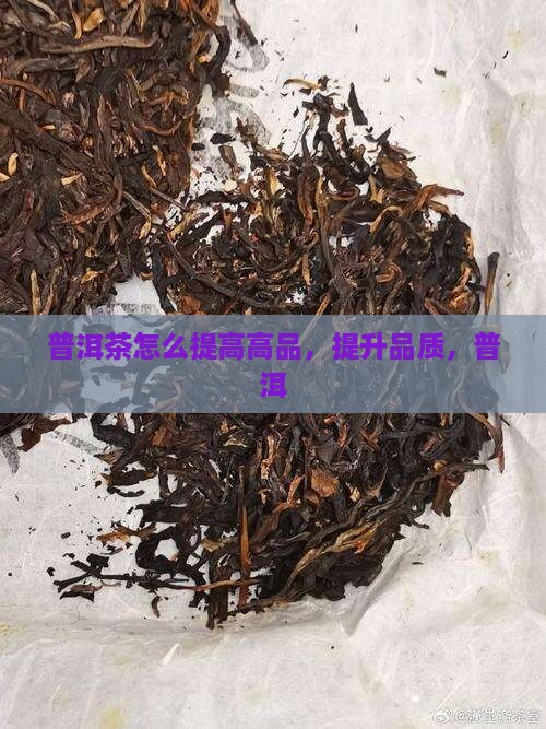 普洱茶怎么提高品质
