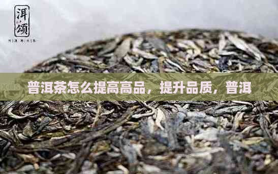 普洱茶怎么提高品质