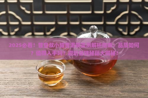 普皇叔小罐普洱茶好吗
