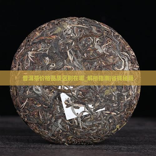 普洱茶价格品质区别在哪