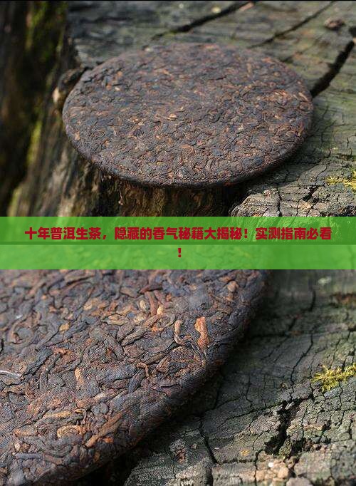 普洱生茶十年什么香