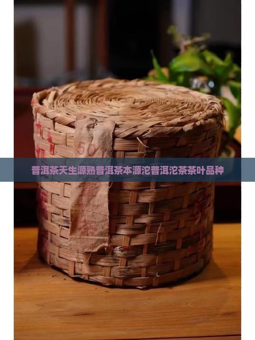 天生源熟普洱茶本源沱