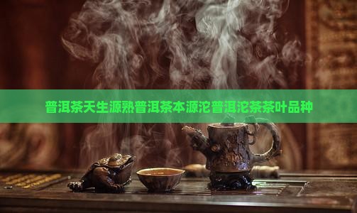 天生源熟普洱茶本源沱