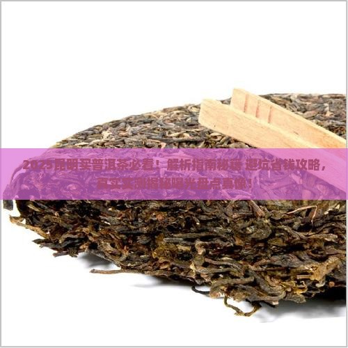 昆明那边买普洱茶