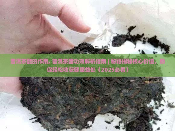 普洱茶醋的作用