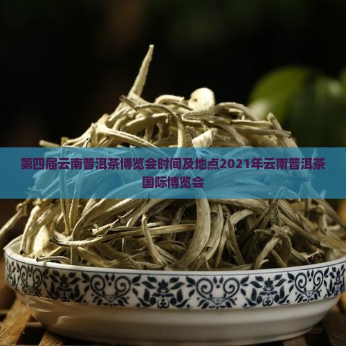 第四届云南普洱茶博览会