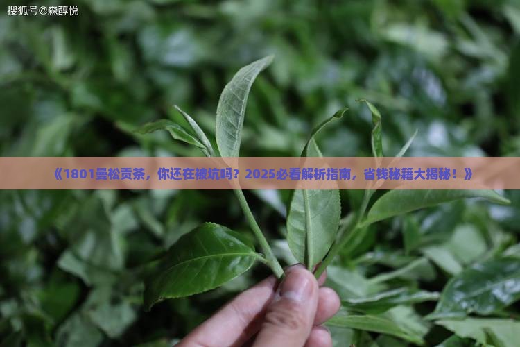 1801曼松贡茶