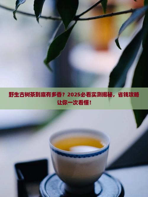 野生古树茶是什么茶 野生古树茶是什么茶