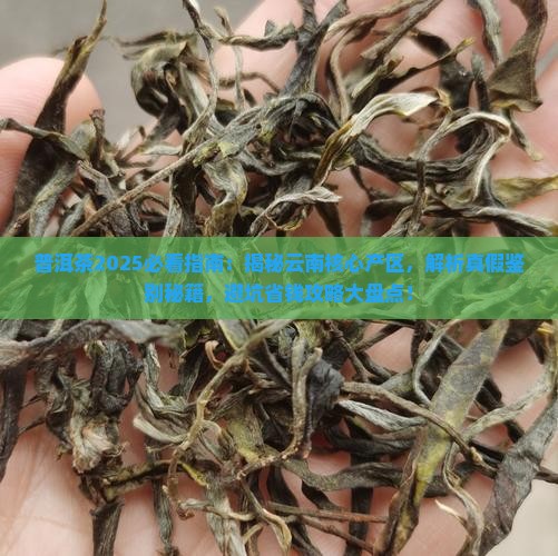 普洱茶来自云南哪个地区