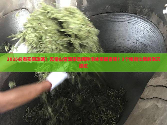 无量山普洱茶什么茶适合泡冰茶