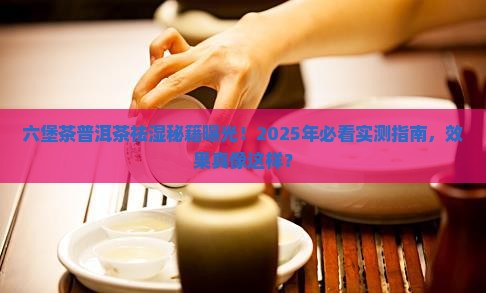 六堡茶普洱茶祛湿