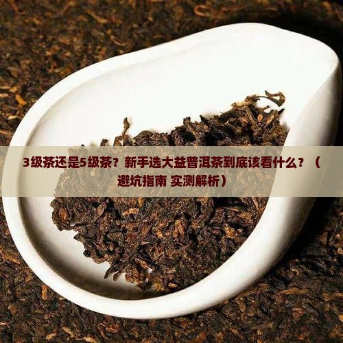 大益普洱茶几级茶好