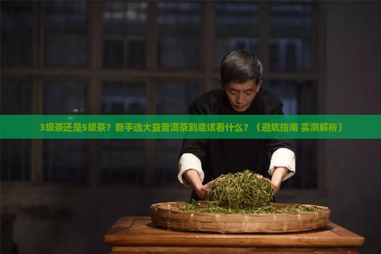 大益普洱茶几级茶好