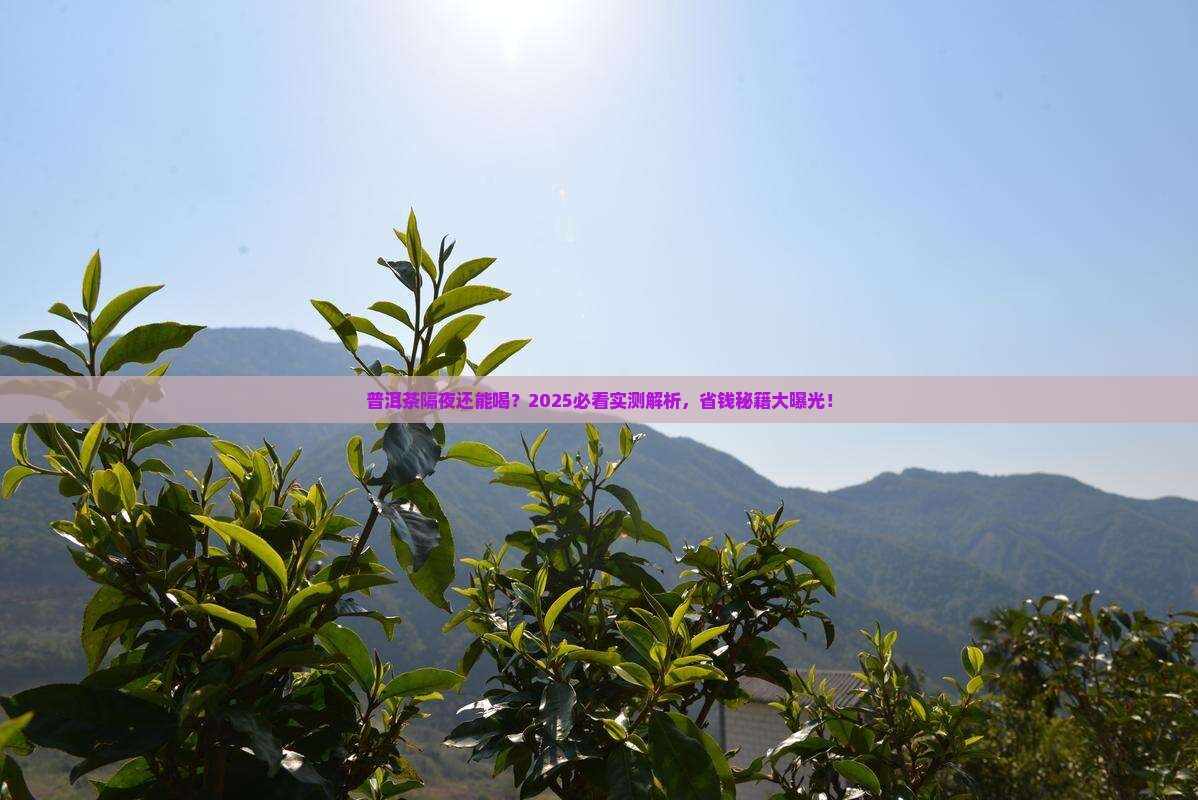 第二天的普洱茶能继续泡嘛